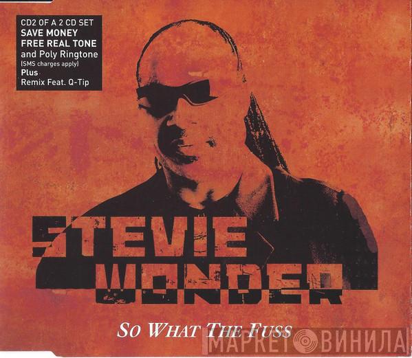 Stevie Wonder - So What The Fuss