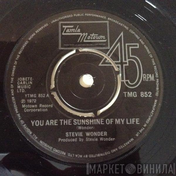  Stevie Wonder  - You Are The Sunshine Of My Life