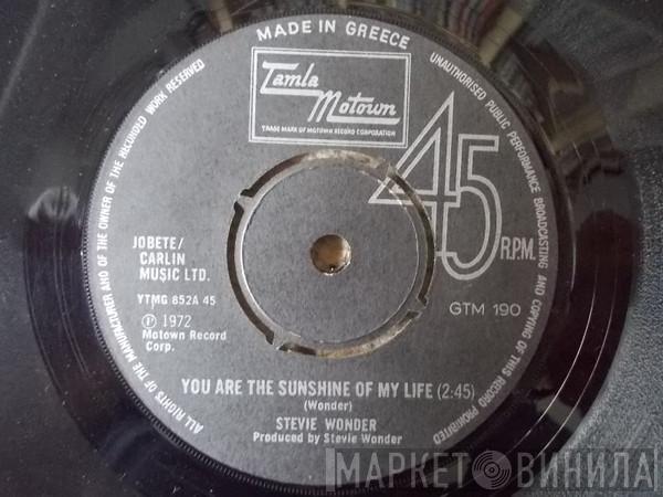  Stevie Wonder  - You Are The Sunshine Of My Life