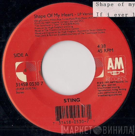  Sting  - Shape Of My Heart