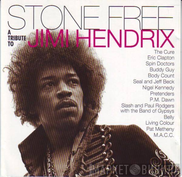  - Stone Free (A Tribute To Jimi Hendrix)