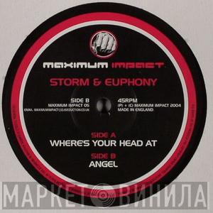 Storm & Euphony - Where's Your Head At / Angel