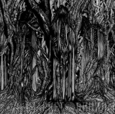  Sunn O)))  - Black One