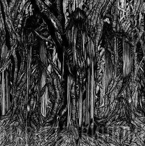  Sunn O)))  - Black One