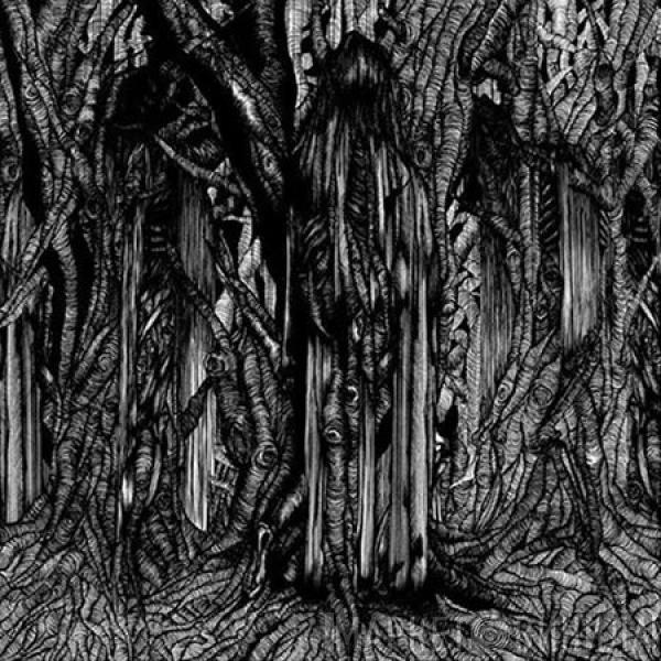  Sunn O)))  - Black One