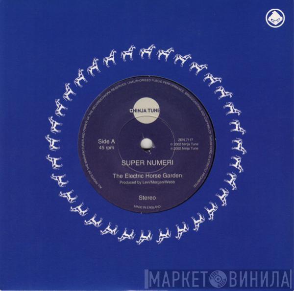 Super Numeri - The Electric Horse Garden