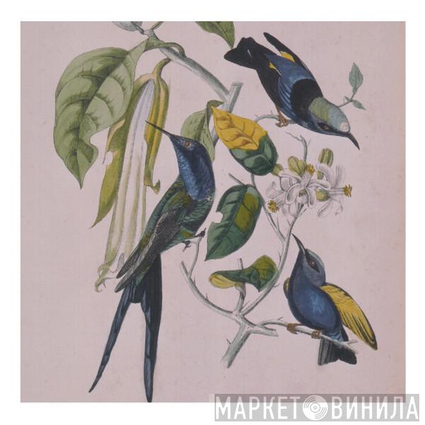  Susumu Yokota  - Sakura