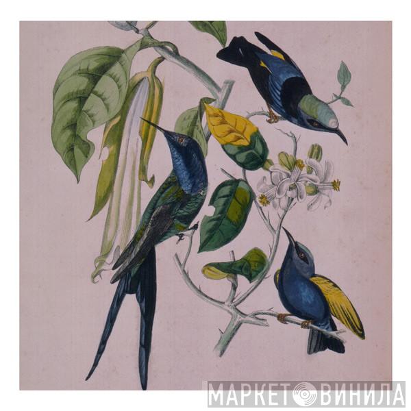  Susumu Yokota  - Sakura
