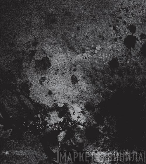 Swarms - The Silver Hour