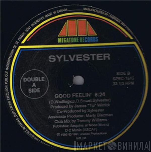 Sylvester - Call Me (Remix) / Good Feelin'