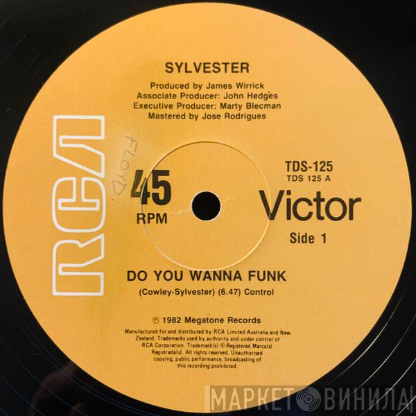  Sylvester  - Do Ya Wanna Funk