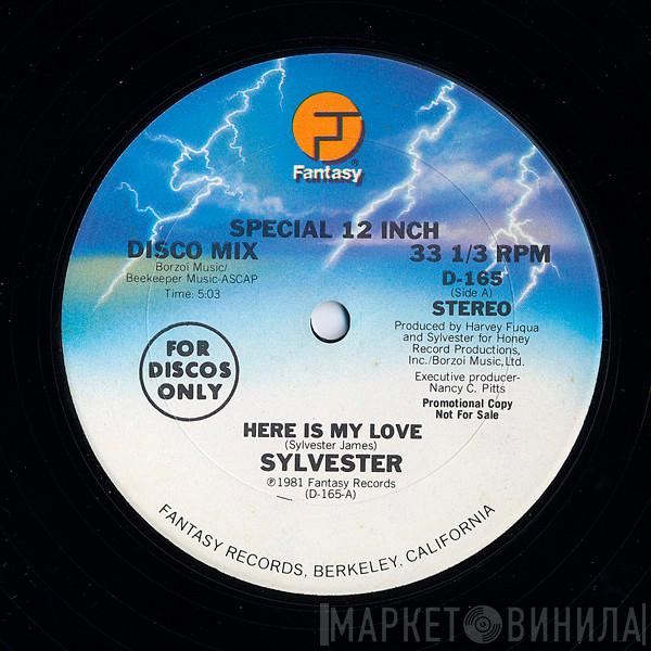  Sylvester  - Here Is My Love