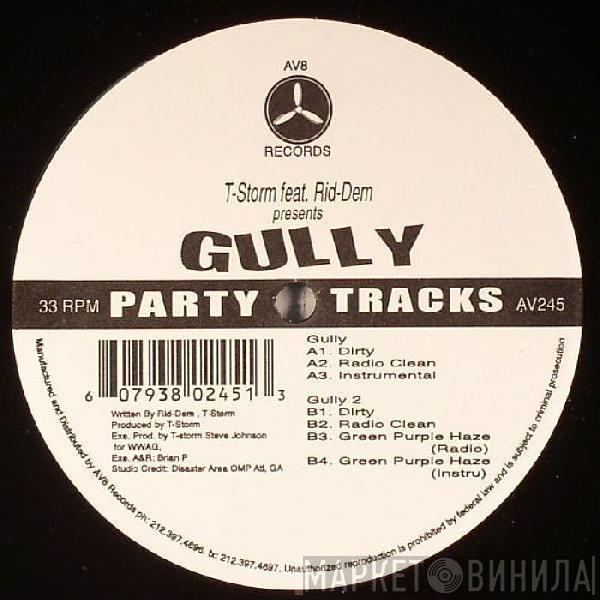 T-Storm - Gully