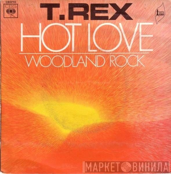  T. Rex  - Hot Love