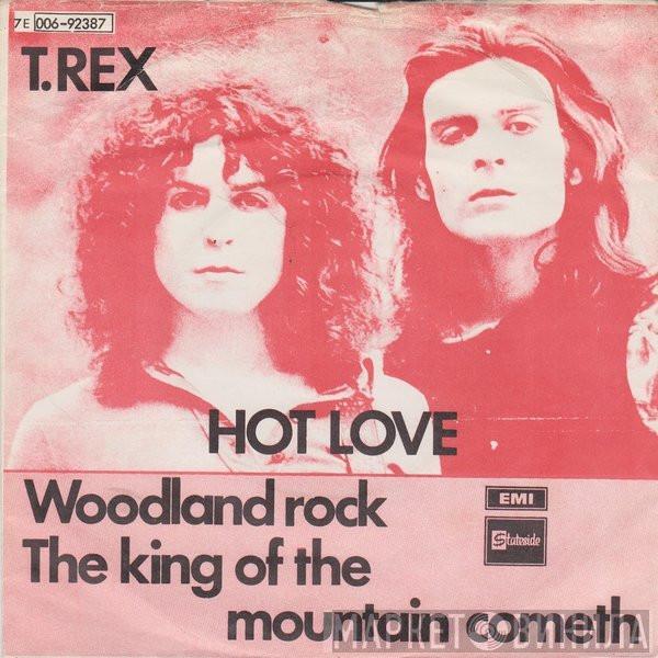  T. Rex  - Hot Love