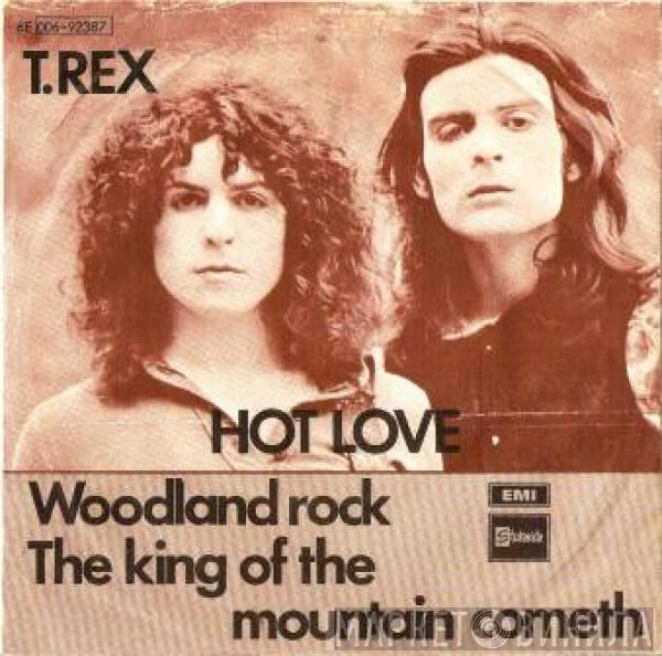  T. Rex  - Hot Love