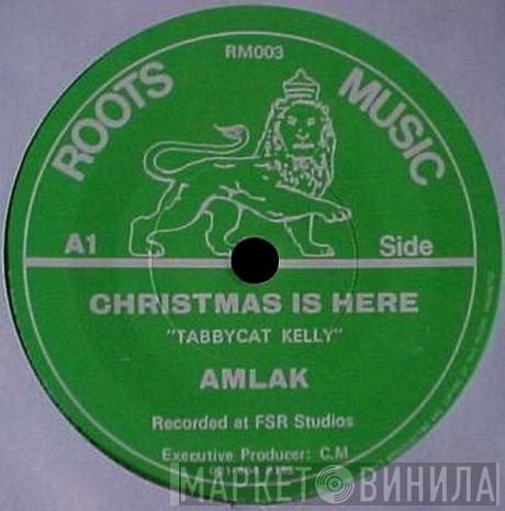 Tabby Cat Kelly - Christmas Is Here