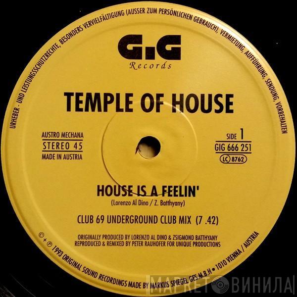 Temple Of House - House Is A Feelin'