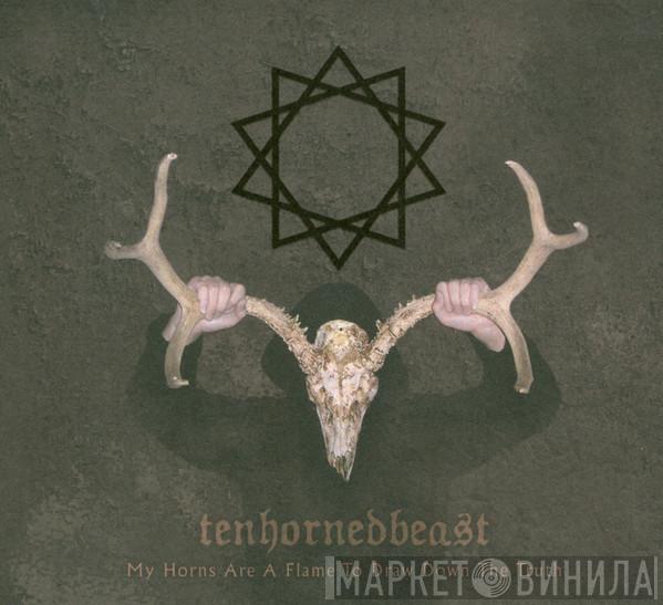 TenHornedBeast - My Horns Are A Flame To Draw Down The Truth