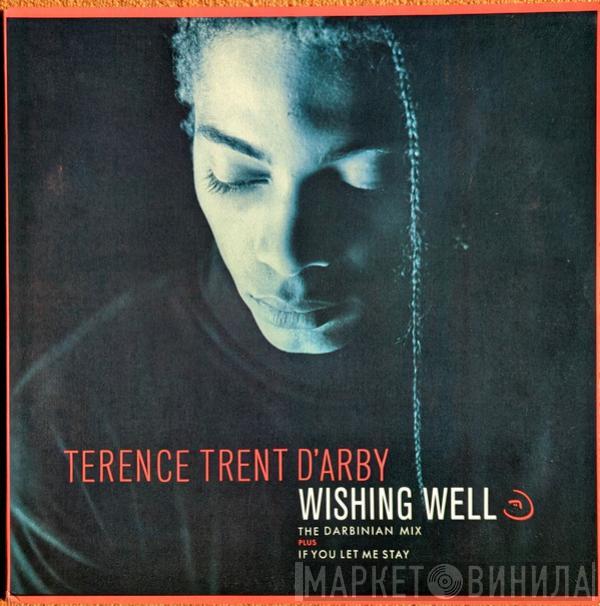  Terence Trent D'Arby  - Wishing Well (The Darbinian Mix)