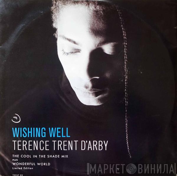 Terence Trent D'Arby - Wishing Well