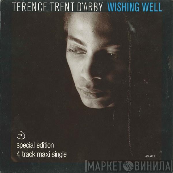  Terence Trent D'Arby  - Wishing Well