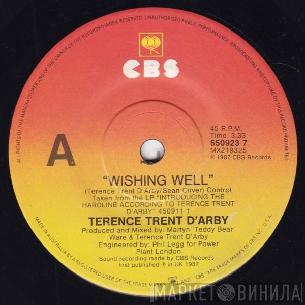  Terence Trent D'Arby  - Wishing Well