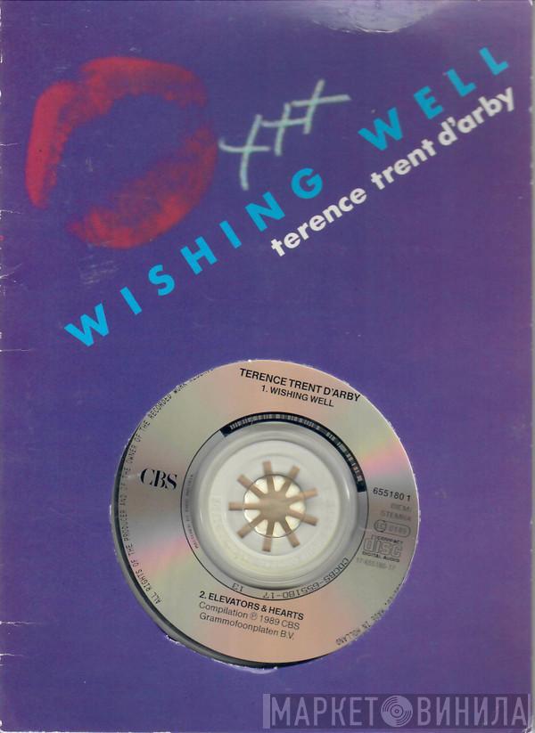  Terence Trent D'Arby  - Wishing Well