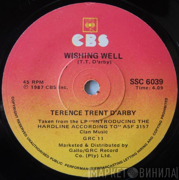  Terence Trent D'Arby  - Wishing Well