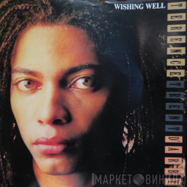  Terence Trent D'Arby  - Wishing Well