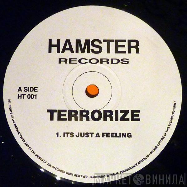  Terrorize  - It's Just A Feeling