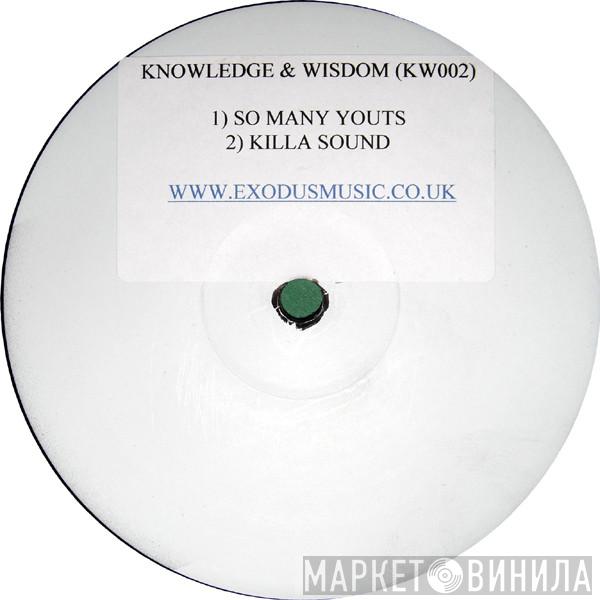 Terry Tee - So Many Yout's / Kill A Sound