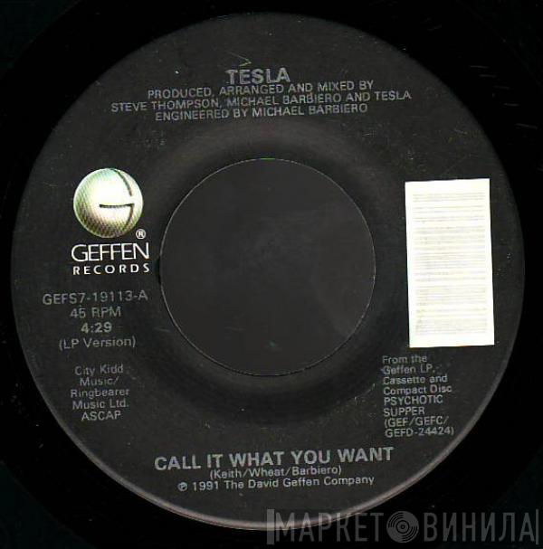 Tesla - Call It What You Want