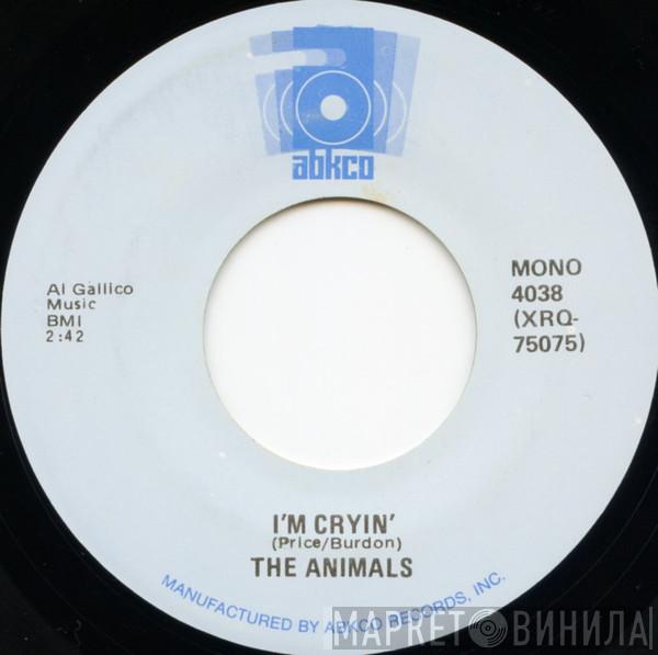  The Animals  - I'm Cryin' / Boom Boom