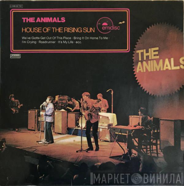  The Animals  - House Of The Rising Sun