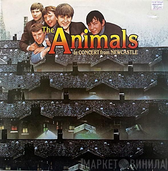  The Animals  - In Concert From Newcastle