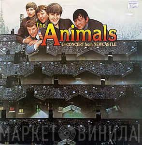  The Animals  - In Concert From Newcastle