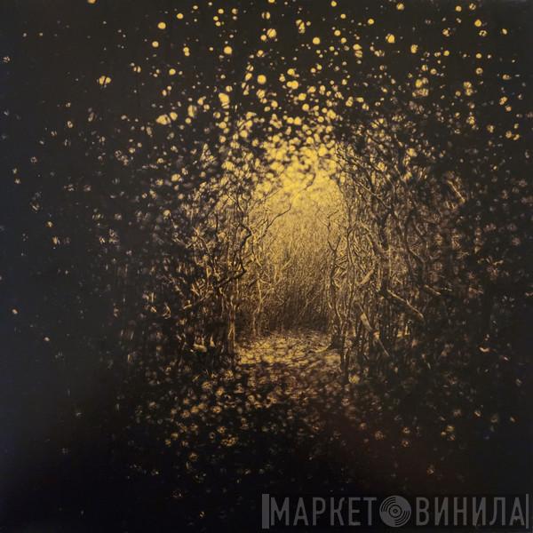 The Antlers - Burst Apart
