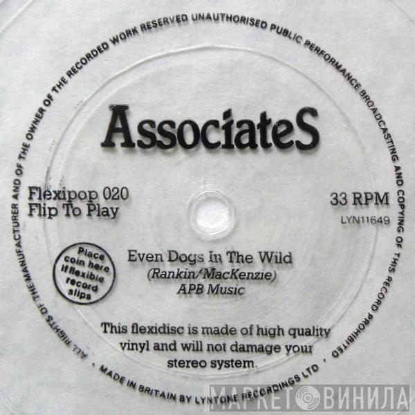 The Associates - Even Dogs In The Wild