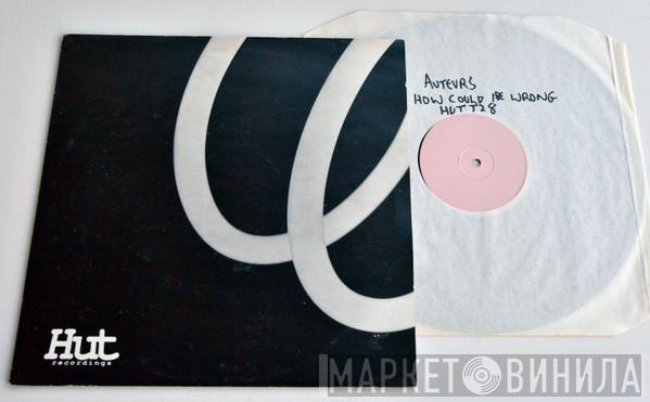 The Auteurs - How Could I Be Wrong