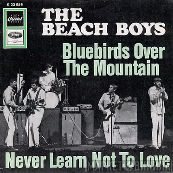  The Beach Boys  - Bluebirds Over The Mountain / Never Learn Not To Love