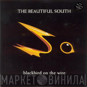  The Beautiful South  - Blackbird On The Wire