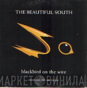 The Beautiful South - Blackbird On The Wire