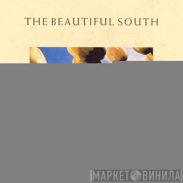  The Beautiful South  - Song For Whoever