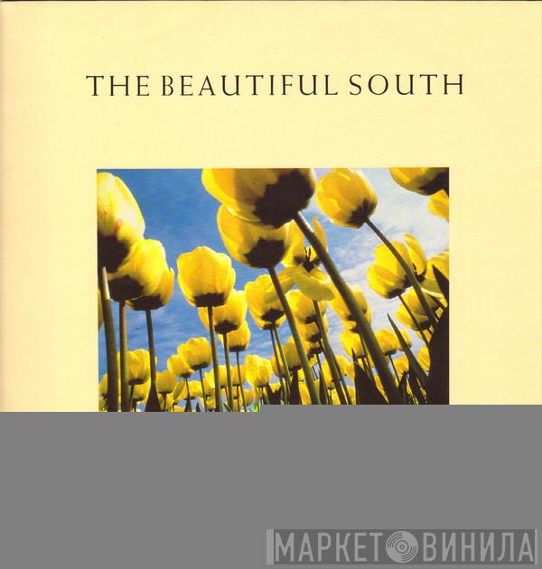  The Beautiful South  - Song For Whoever