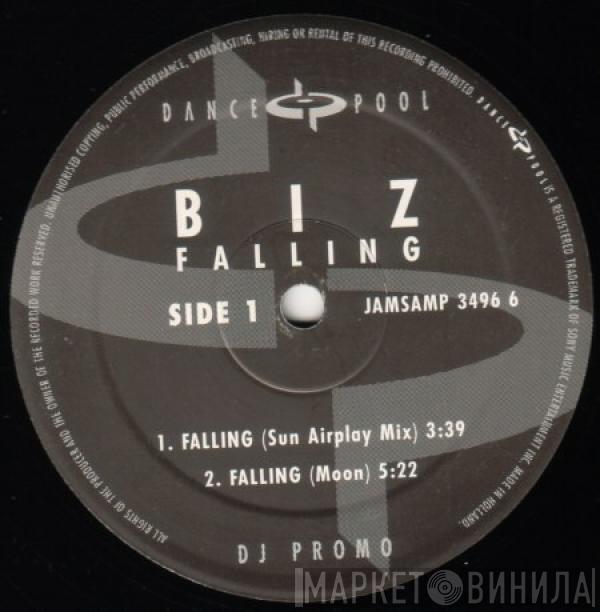  The Biz  - Falling (Remixes)