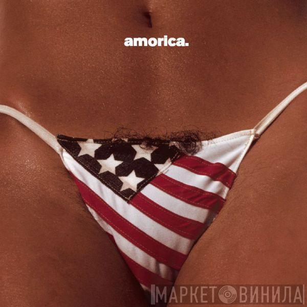 The Black Crowes  - Amorica