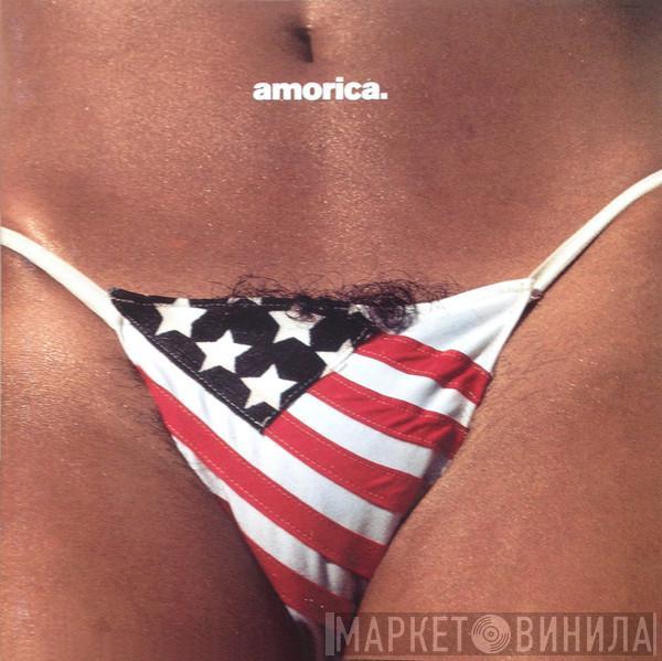  The Black Crowes  - Amorica.