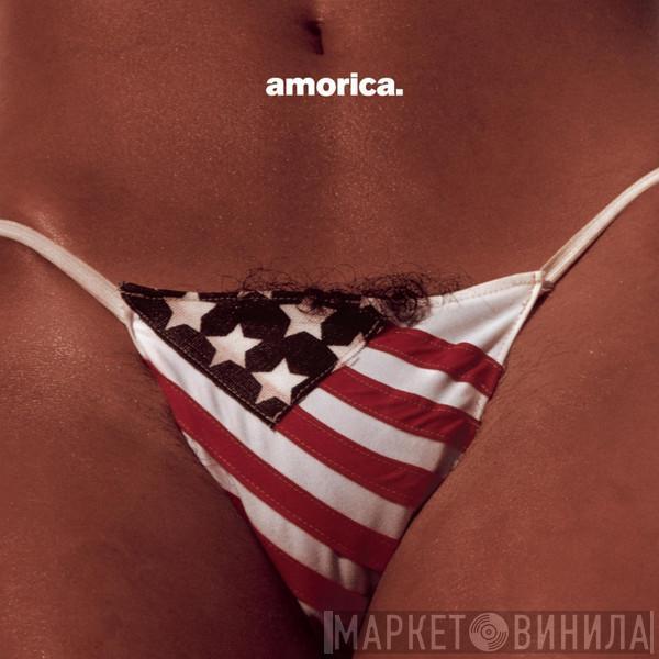  The Black Crowes  - Amorica.
