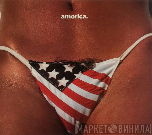  The Black Crowes  - Amorica.